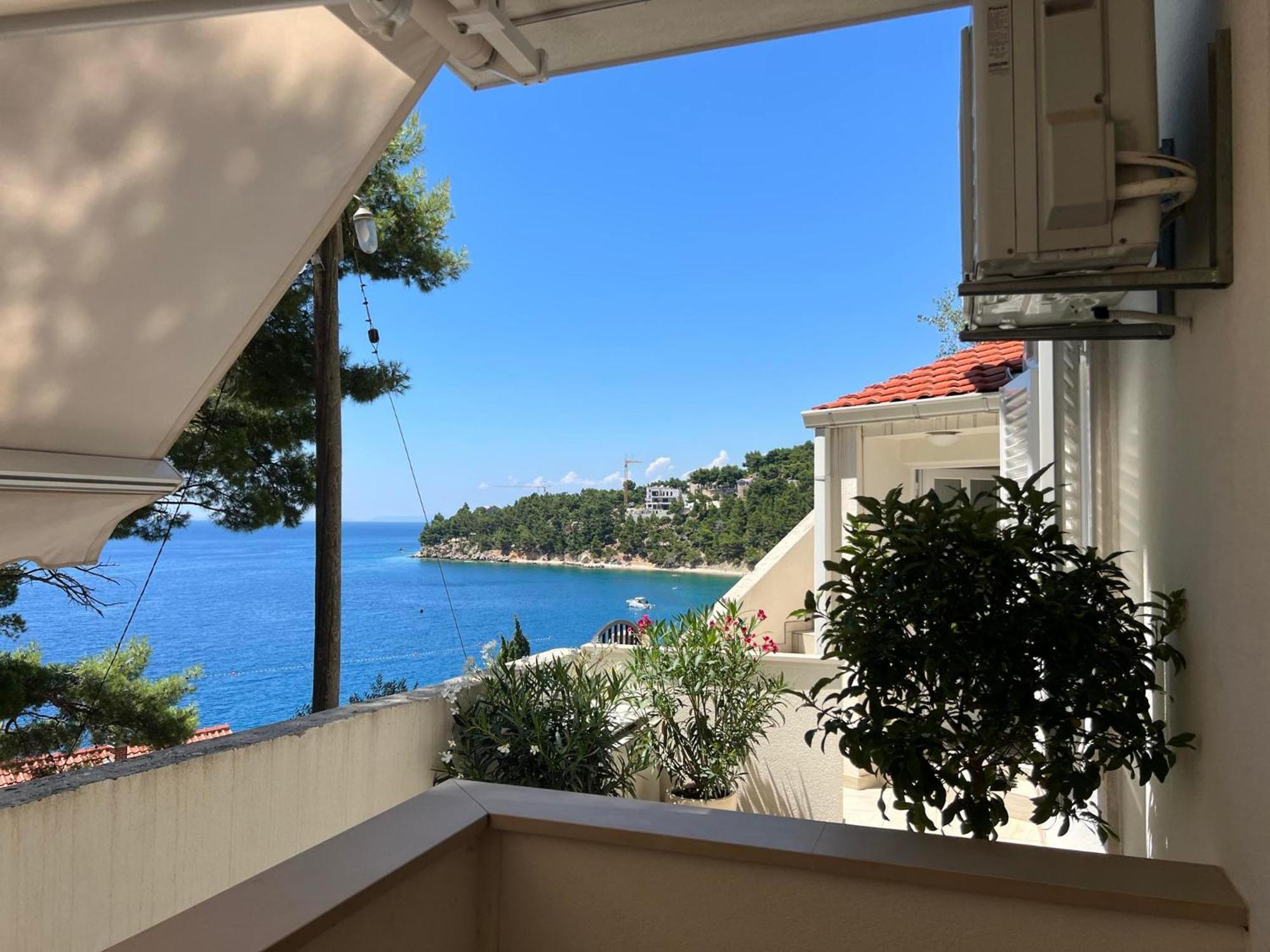 Domani Omis